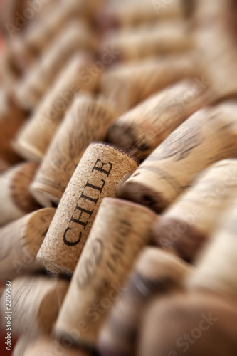 Chile cork plug