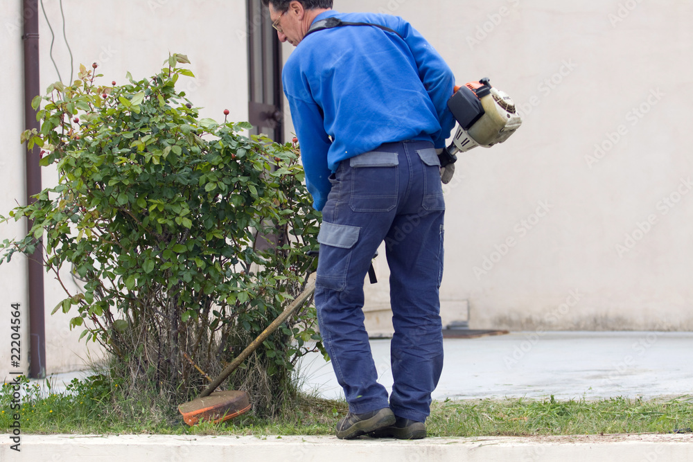 brush cutting