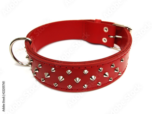 Red leather collar for dog with studs photo