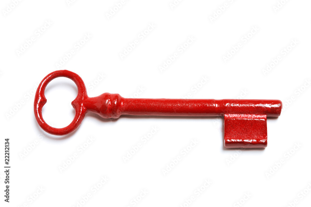 Fotografie Skeleton Key