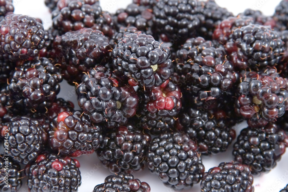 Blackberries Blackberries