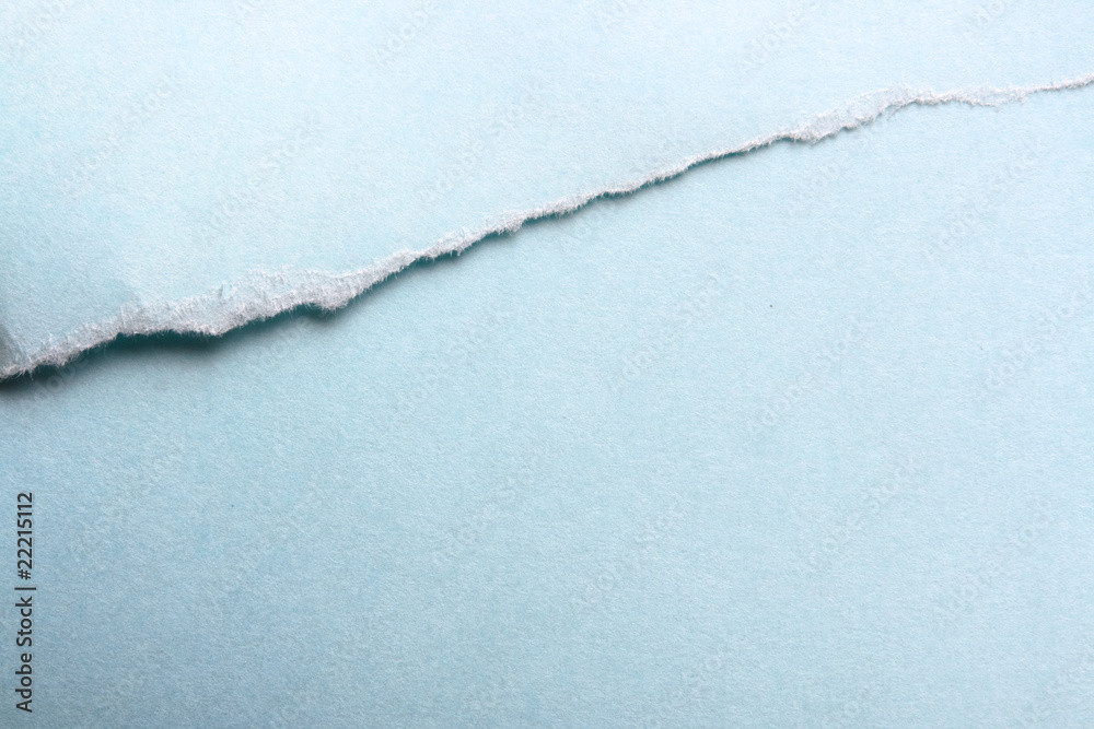 custom made wallpaper toronto digitalpaper close-up