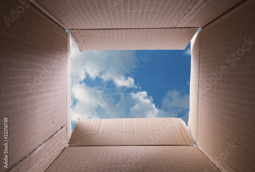in the box