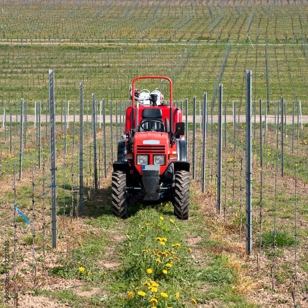 Obraz premium Tractor in the vineyard