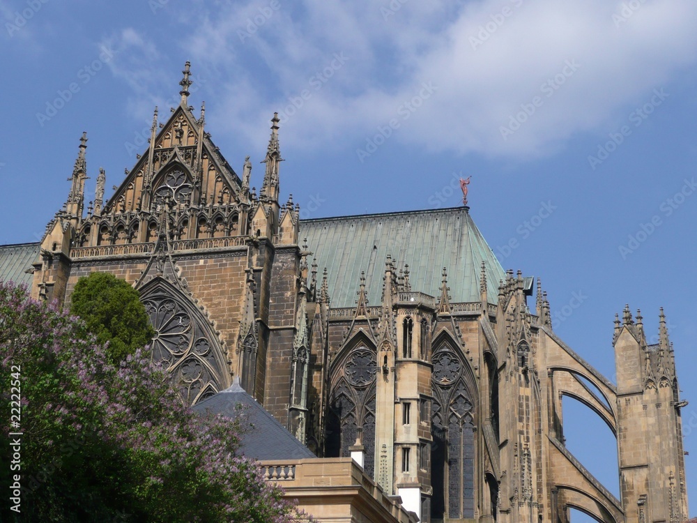 Metz - Cathédrale au printemps