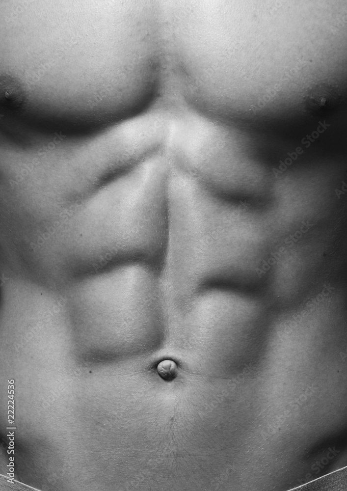 Male torso Male torso
