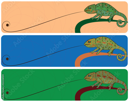 chameleons