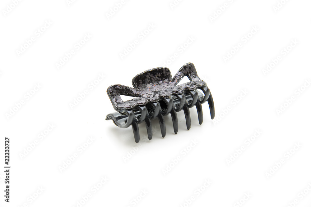 Fototapeta premium Haarklammer