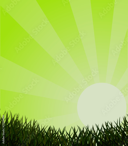 Ecological green background with grass