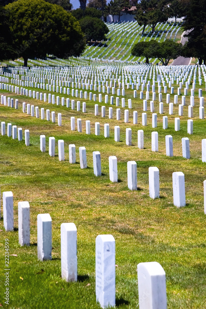 Rows of headstones of fallen soldiers