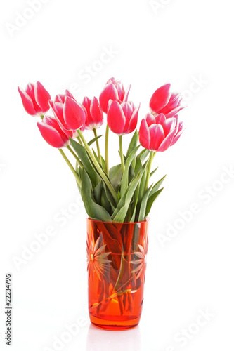 Fototapeta Naklejka Na Ścianę i Meble -  Beautiful  pink tulips in vase isolated on  white