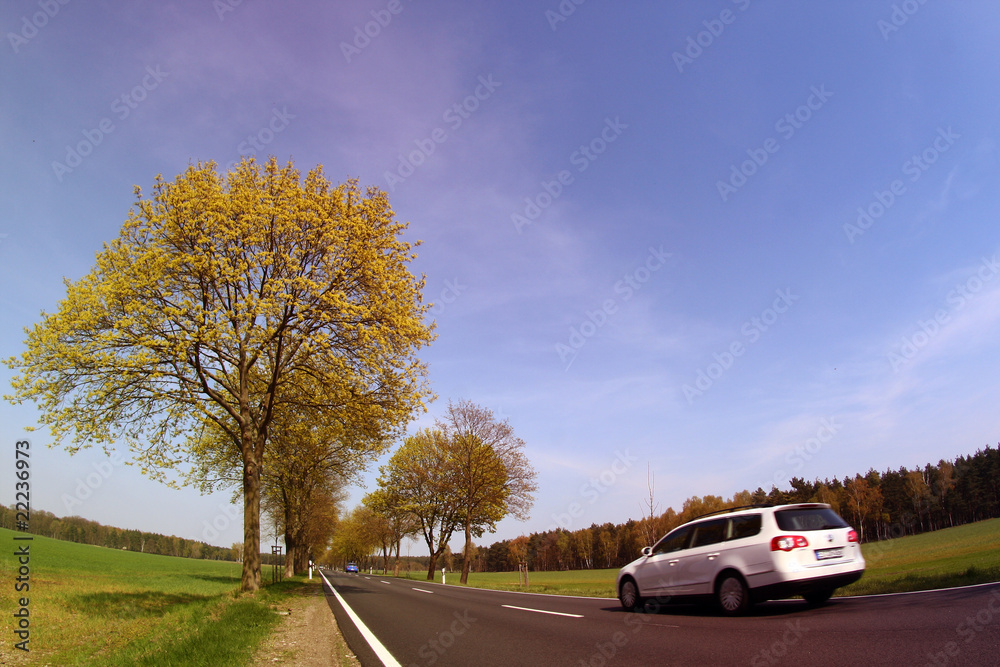 Fototapeta premium Landstraße