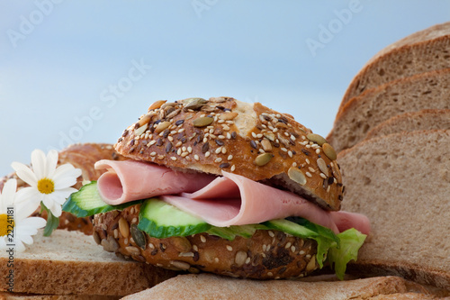 Ham sandwich