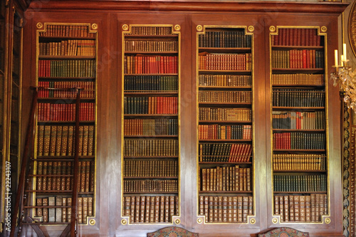 Obraz na płótnie biblioteque w salonie