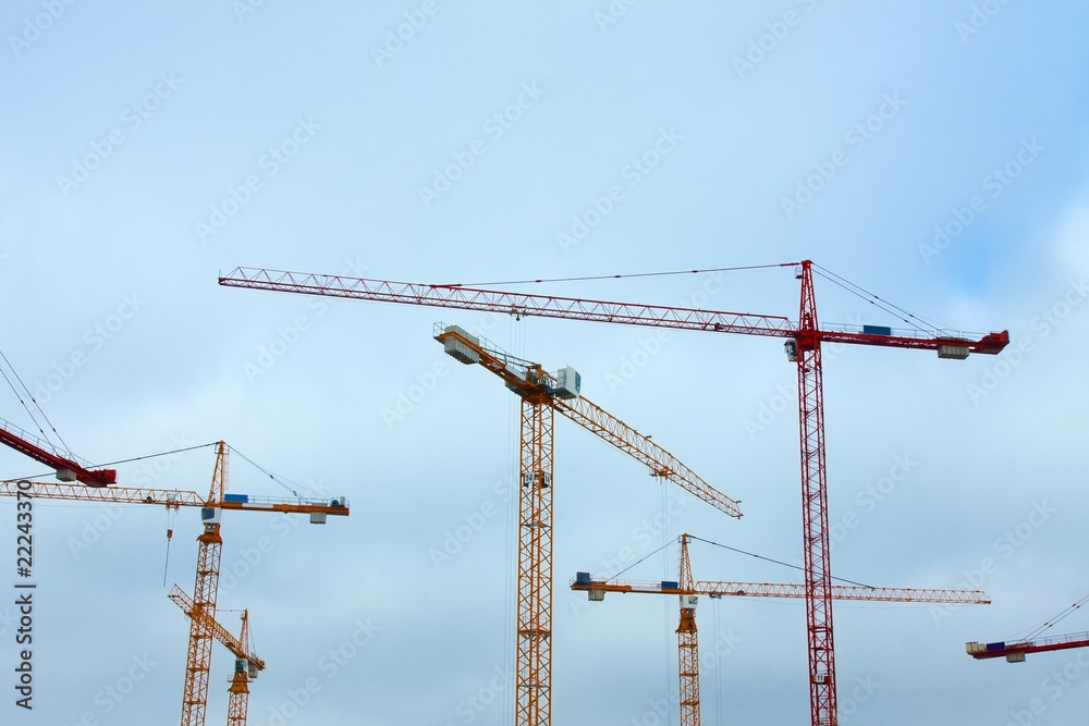 Cranes Cranes