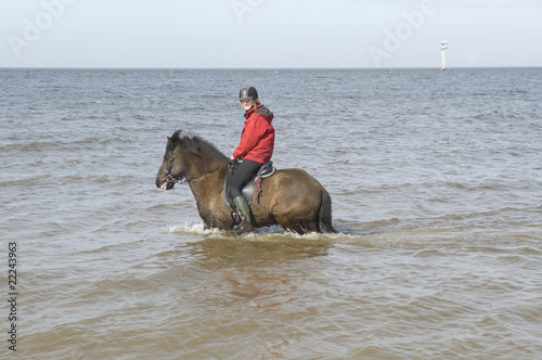 Two equestrian on horseback on the beach