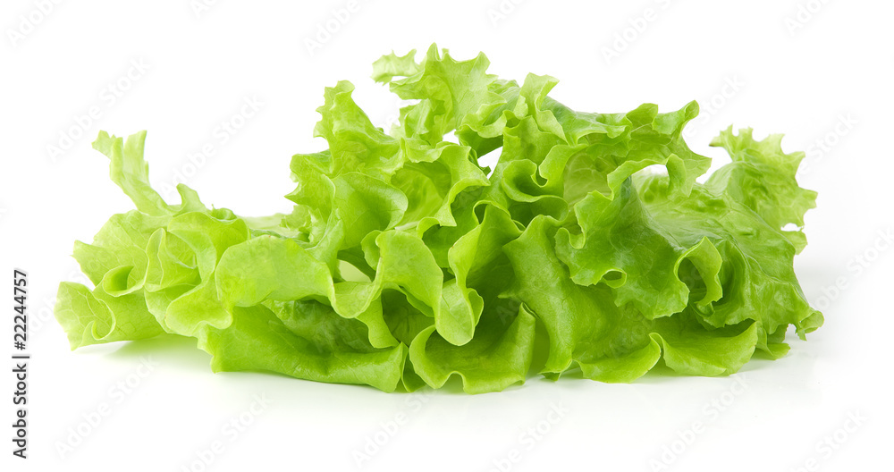 Fresh green Lettuce salad Fresh green Lettuce salad