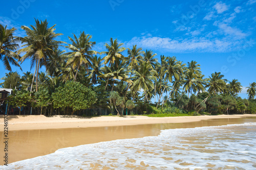 Idyllic beach. Sri Lanka