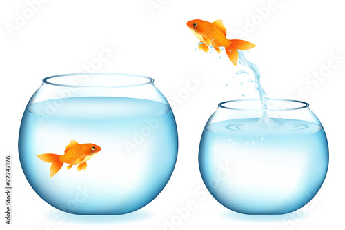 Goldfish Jumping To Other Goldfish