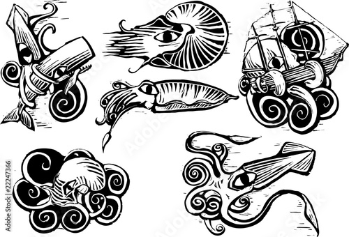 Octopus Squid Group