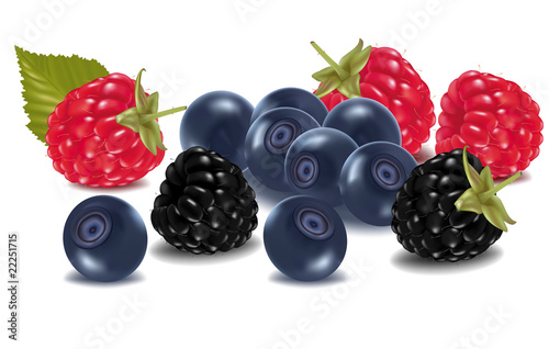 Vector illustration. Raspberries, blueberries, blackberries