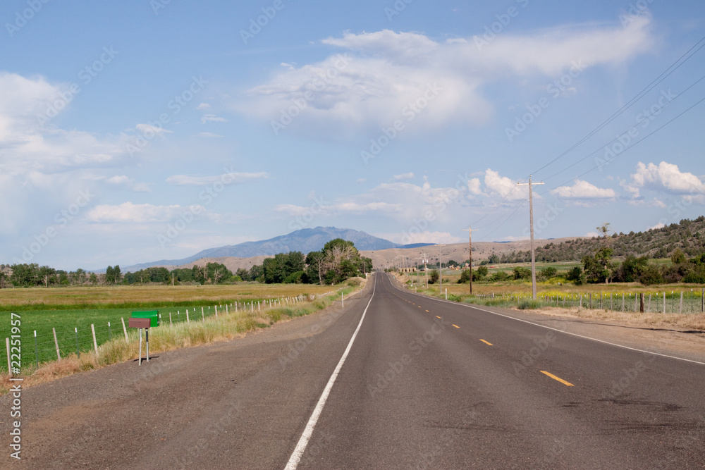 Road along farmland