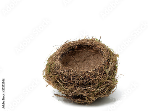 Bird nest isolated on the white background