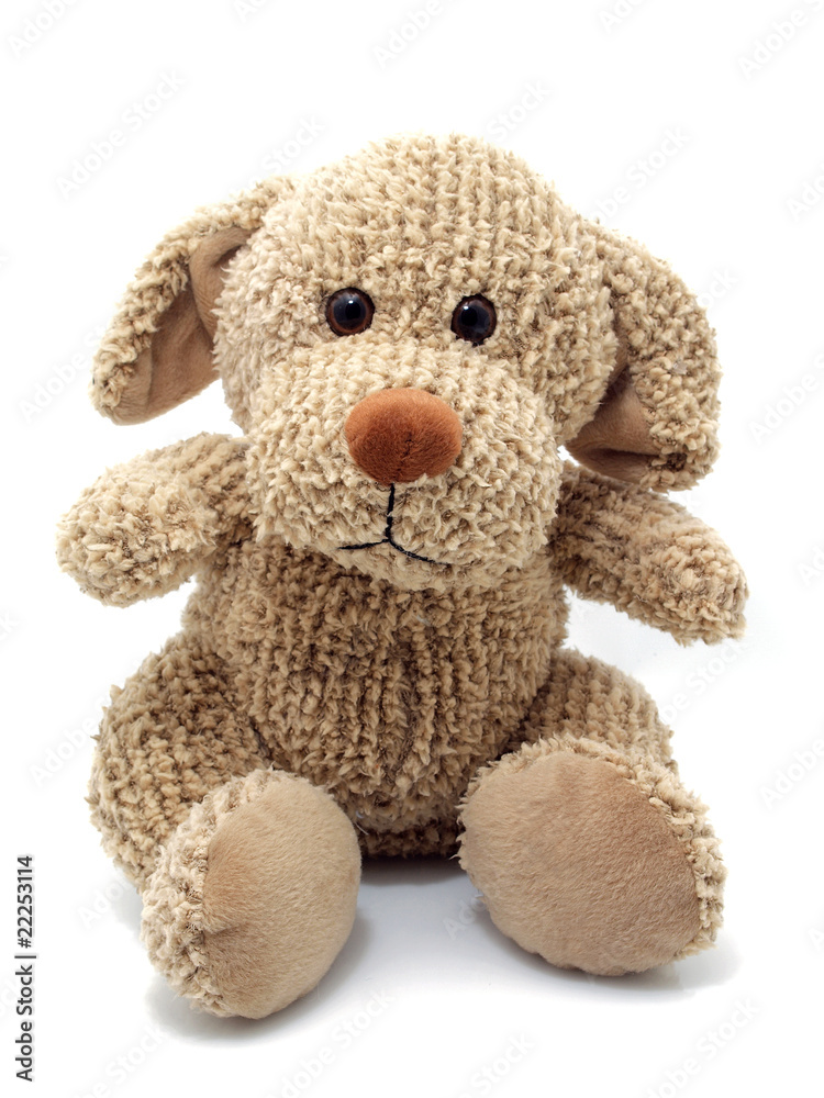 Toy dog Toy dog