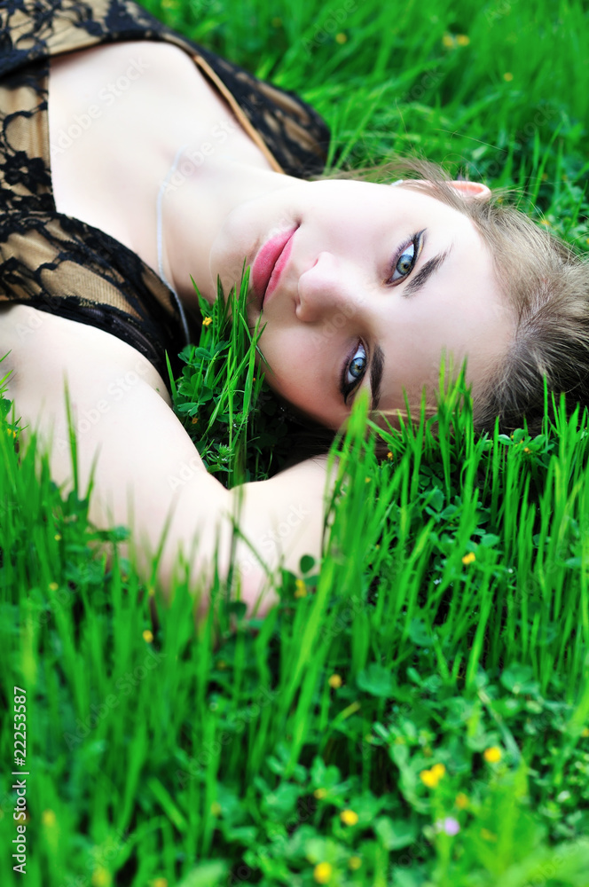 on the spring meadow on the spring meadow