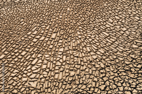 Arid Soil