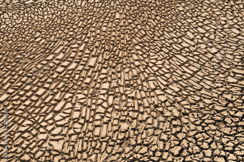 Arid Soil