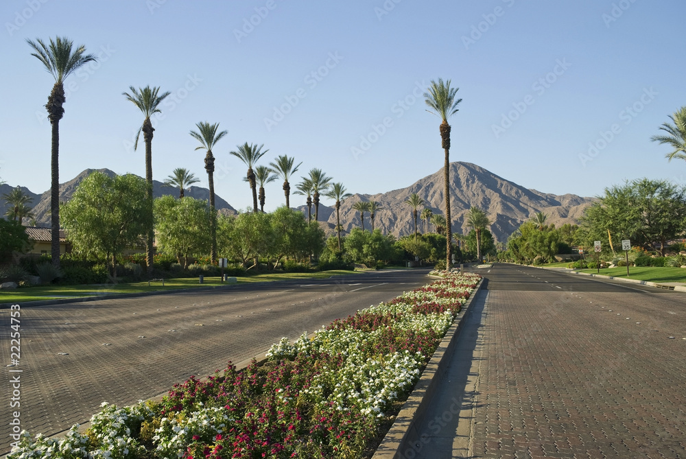 Fototapeta premium Scenic Indian Wells