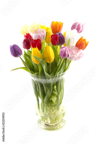 Wallpaper Mural colorful Dutch tulips in vase over white background Torontodigital.ca