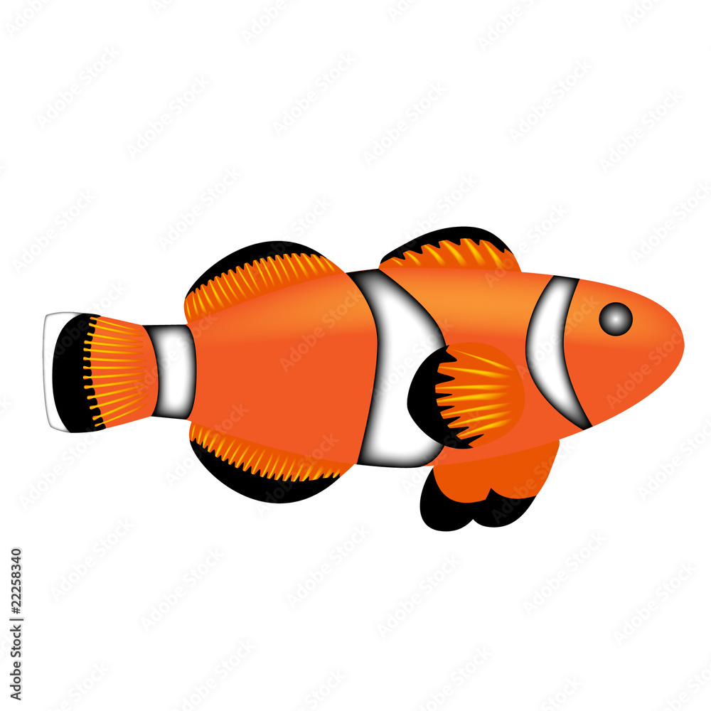 熱帯魚クマノミ Stock イラスト Adobe Stock
