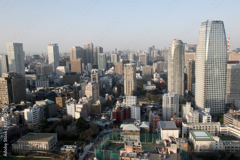 View of downtown Tokyo from Tokyo tower.