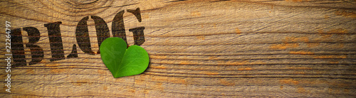Tableau sur toile Green blog on wooden background