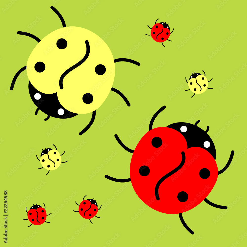 Fototapeta premium Ladybugs