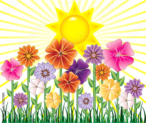 Spring Day