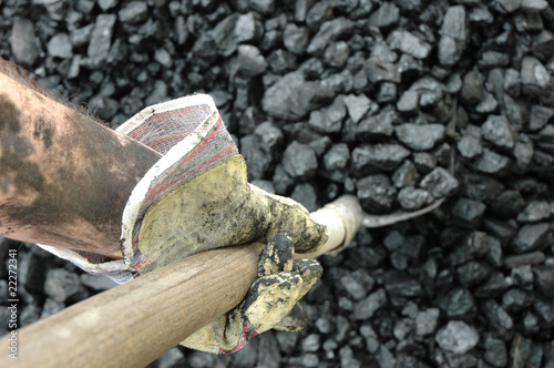 Coal
