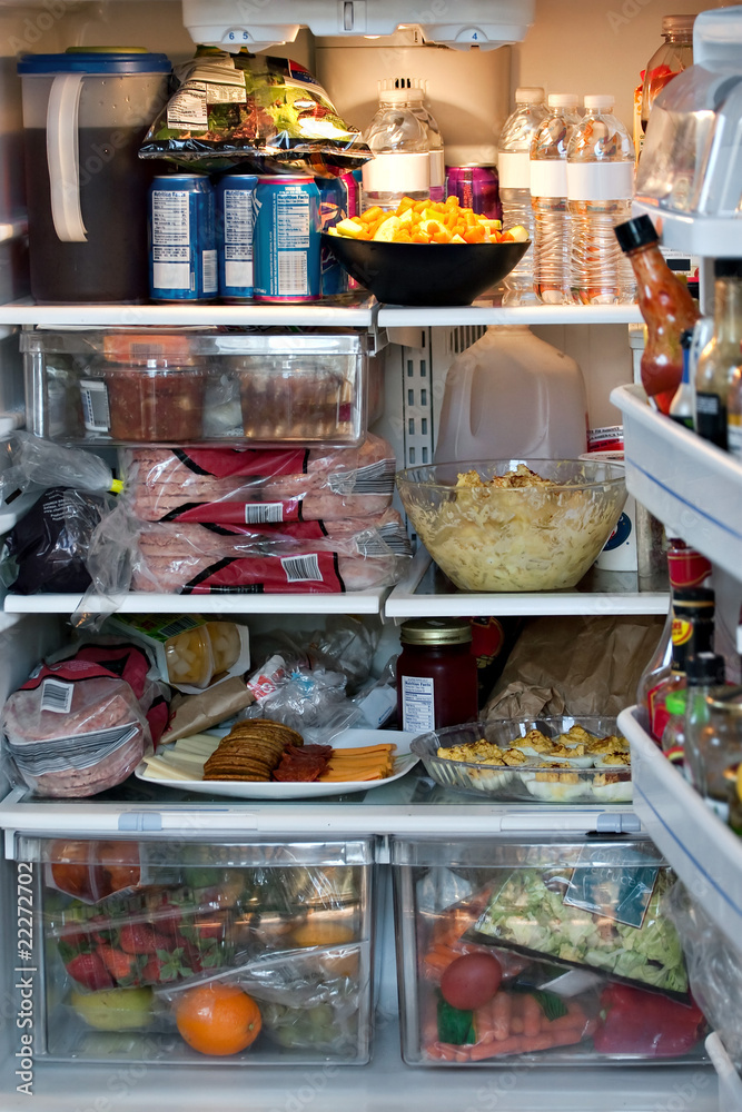 Konstfotografi Fully Stocked Refrigerator