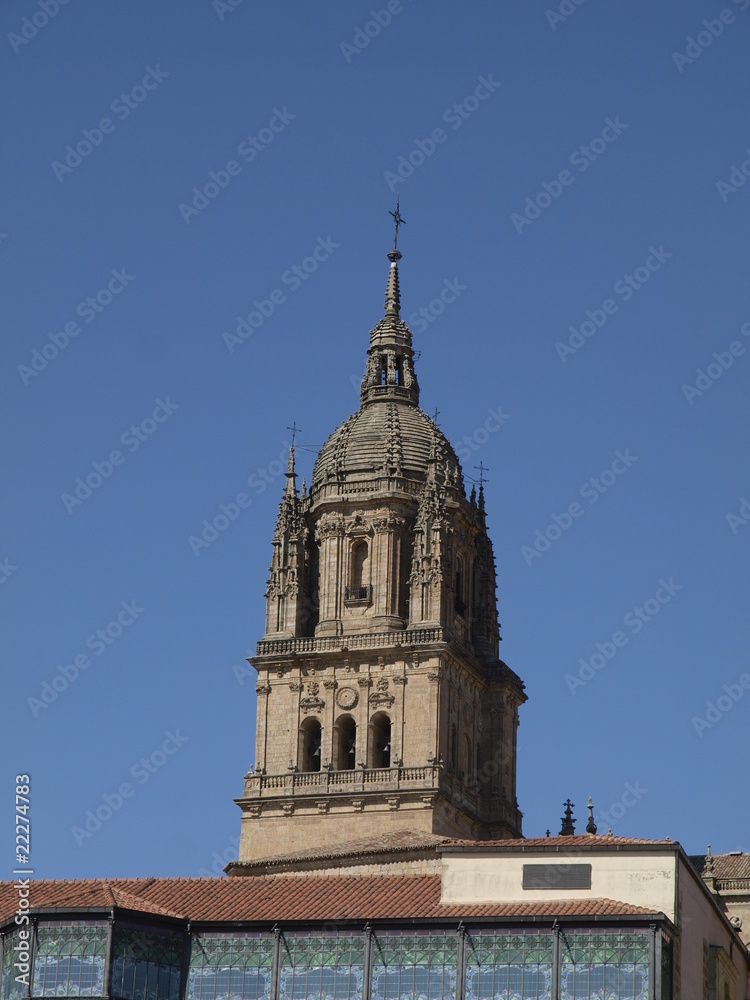 Catedral de Salamanca y Casa Lis