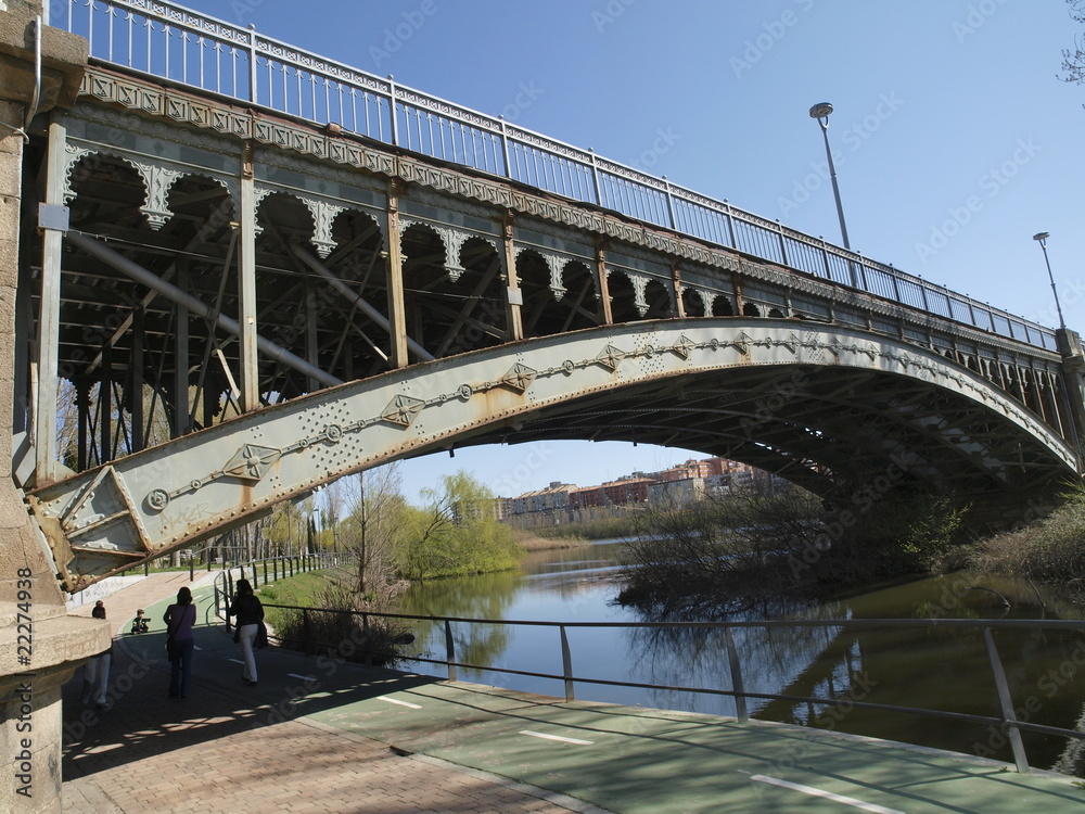 Fototapeta premium Puente de hierro en Salamanca