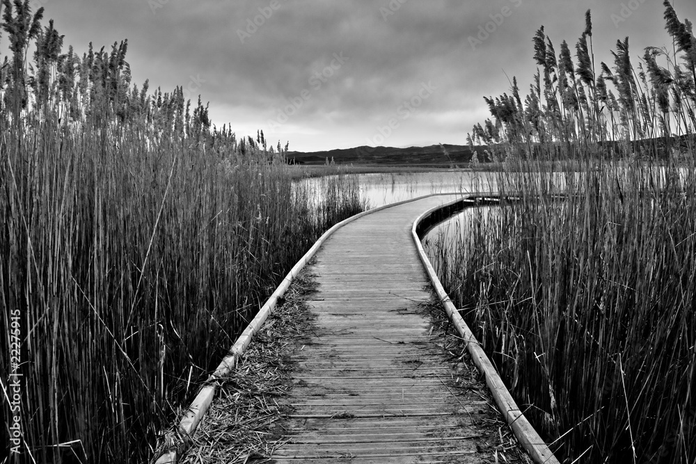 Obraz premium ¿Te vienes?