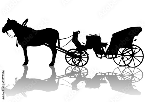 Animal-powered transport