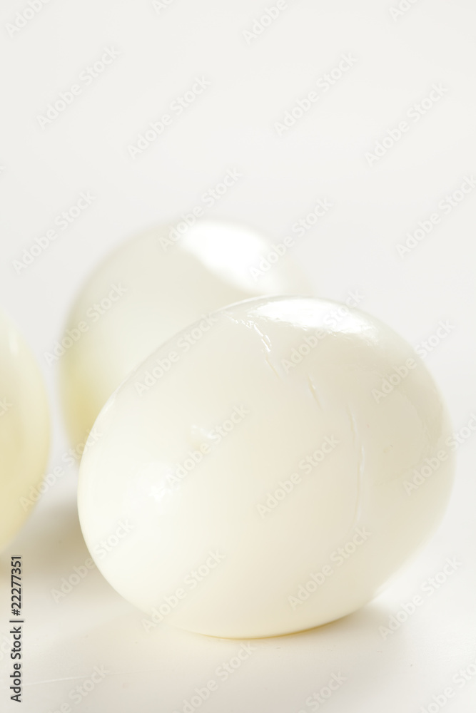 boiled egg isolated boiled egg isolated