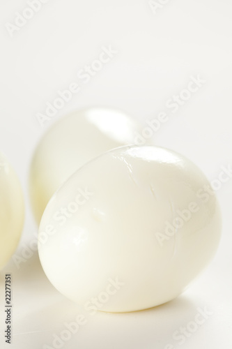 boiled egg isolated