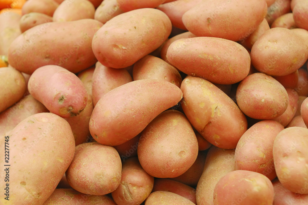 close up of potatoes on market stand close up of potatoes on market stand