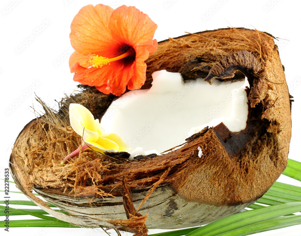 demi noix de coco fleurie, fond blanc demi noix de coco fleurie, fond blanc