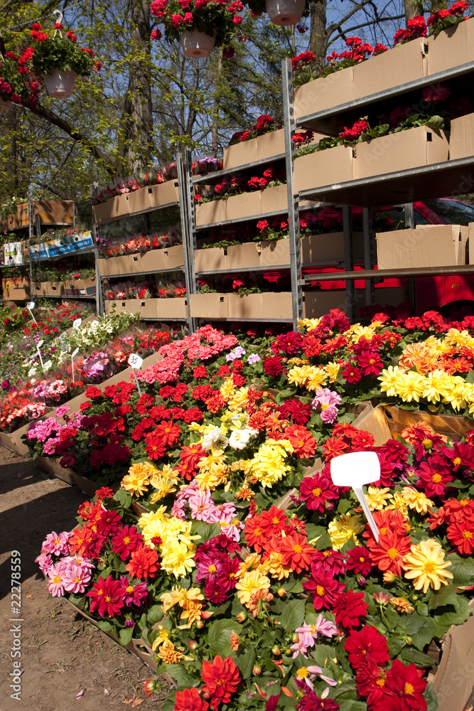 Obraz premium Flower market