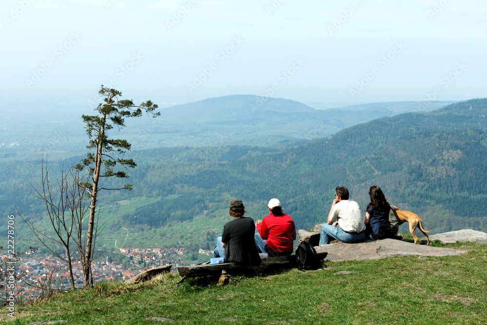 Ausblick über das Murgtal im Schwarzwald / Germany